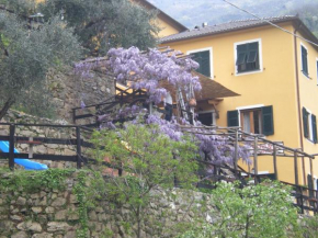  Agriturismo Il Sogno  Лорзика